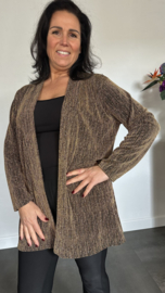 Glitter vest Roxane Goud