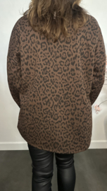 Panter sweater Maud Choco
