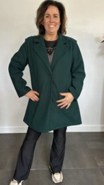 Mantel Gina Flessen groen