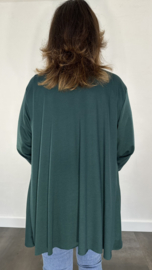 Vest met sjaalkraag brenda donker groen