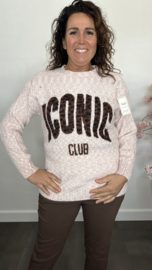 Gebreide trui Iconic Roze/Ecru/Grijs