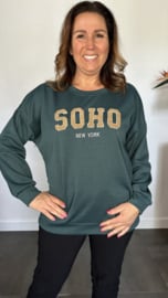 Sweater Soho flessen groen