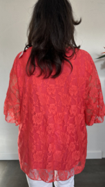Kanten blouse Ilse +SIZE koraal