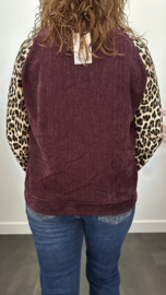 Velvet sweater panter sparkle Bordeaux