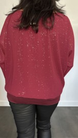 Blouse met boord Zilver Glitter bordeaux