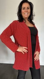 Glitter vest Roxane Rood/Rood