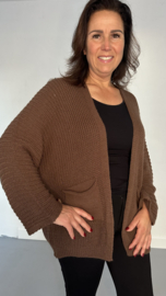 Kort grof gebreid vest met vleermuismouw bruin