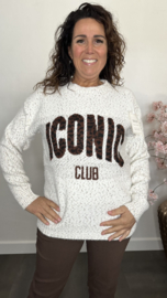 Gebreide trui Iconic Ecru/Bruin/Camel
