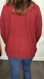 Fijn gebreide trui Sparkle met zakjes Bordeaux