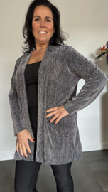 Glitter vest Roxane Zilver