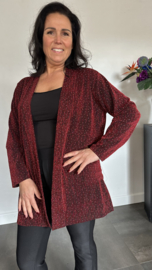 Glitter vest Roxane Zwart/Rood