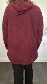 Velvet trui zilver glitter met capuchon Bordeaux