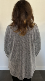 Top "glitter zipp" sparkle lines zilver