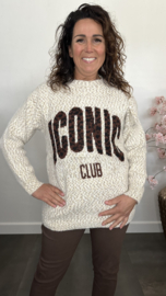 Gebreide trui Iconic Bruin/Ecru/Botergeel