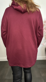 Sweater met capuchon/ glitter hart Bordeaux