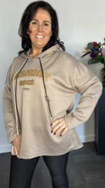 Sweater Sasmode taupe