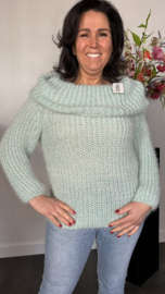 Grof gebreide trui met kraag Mint