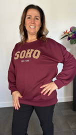Sweater Soho aubergine