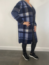 Geruit vest met capuchon blauw
