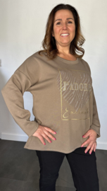 Sweater glitter j'adore taupe