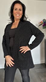 Glitter vest Roxane Zwart