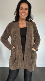 Glitter vest Roxane Goud