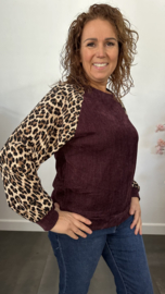 Velvet sweater panter sparkle Bordeaux