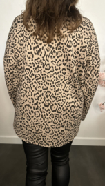 Panter sweater Maud Taupe