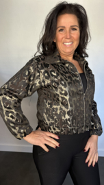 Bomberjack panter goud/zwart SALE