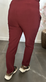 Tregging met fleece gevoerd en glitter detail Bordeaux