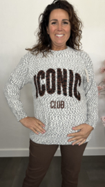 Gebreide trui Iconic Grijs/Ecru