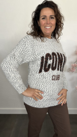 Gebreide trui Iconic Grijs/Ecru