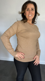 Trui Djess silver sparkle camel