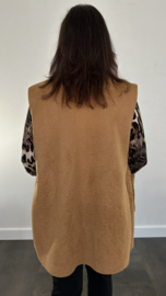 Suedine/ teddy bodywarmer cognac