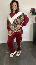 2-Delig comfy pak Velvet panter +Size Bordeaux