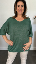 Trui silver sparkle groen +Size