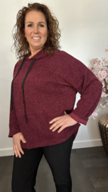 Velvet trui zilver glitter met capuchon Bordeaux