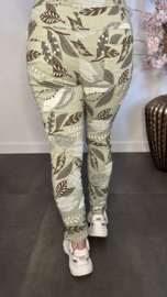 Joggjeans Botanic army