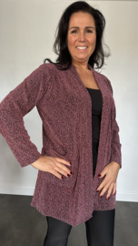 Glitter vest Roxane Roze