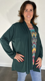 Vest met sjaalkraag brenda donker groen