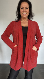 Glitter vest Roxane Rood/Rood