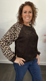 Velvet sweater panter sparkle Choco