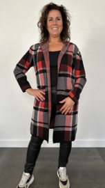 Geruit vest met capuchon stone
