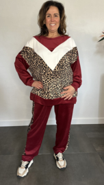 2-Delig comfy pak Velvet panter +Size Bordeaux