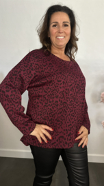 Panter sweater Maud Bordeaux
