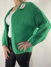 Kort grof gebreid vest groen