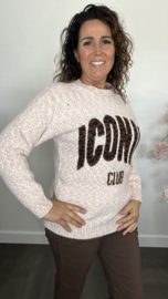 Gebreide trui Iconic Roze/Ecru/Grijs