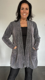 Glitter vest Roxane Zilver