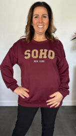 Sweater Soho aubergine