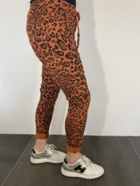 Joggjeans luipaard stone